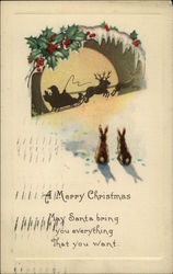 A Merry Christmas, May Santa Bring you Everything That you Want Santa Claus Postcard Postcard