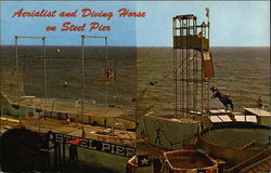 Aerialist and Diving Horse on Steel Pier Postcard