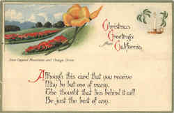 Christmas Greetings From California Postcard