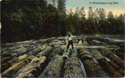 A Washington Log Raft Postcard