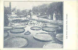 Lily Pond, Lincoln Park Postcard