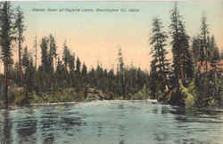 Weiser River At Payette Lakes Scenic, ID Postcard Postcard