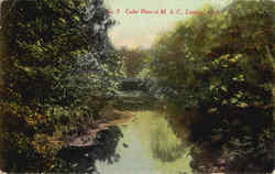 Cedar River At M. A. C Lansing, MI Postcard Postcard