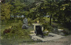 Galloway Springs , Overton Park Postcard