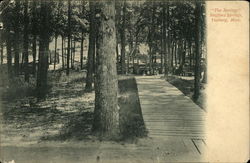 "The Springs" at Stafford Springs Vossburg, MS Postcard Postcard