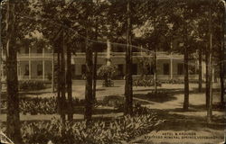 Stafford Mineral Springs - Hotel & Grounds Postcard