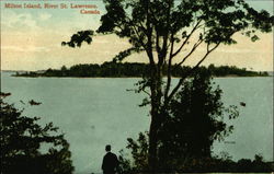 Milton Island in the St. Lawrence River Ontario Canada Postcard Postcard