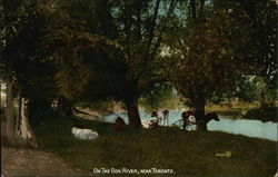 On the Don River, Near Toronto Ontario Canada Postcard Postcard