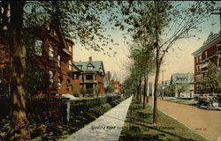 Spadina Road Looking North Postcard