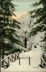 A Winter Scene Ontario Canada Postcard Postcard