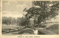 High Park Toronto, ON Canada Ontario Postcard Postcard