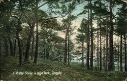 A Pretty Scene in High Park Toronto, ON Canada Ontario Postcard Postcard