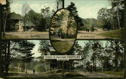 High Park Postcard