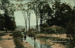 Rosedale Drive Toronto, ON Canada Ontario Postcard Postcard