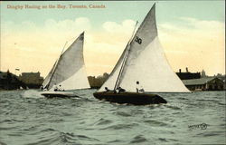 Dignhy Racing on the Bay Postcard