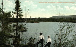 Burnt Lake, Algonquin, National Park of Ontario Canada Postcard Postcard