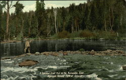 A Speckled Trout Pool on the Madawaska River Algonquin National Park, ON Canada Ontario Postcard Postcard