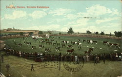 Judging Horses, Toronto Exhibition Ontario Canada Postcard Postcard