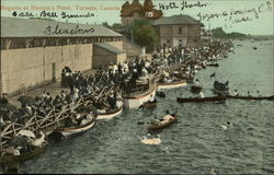 Regatta at Hanlon's Point Postcard