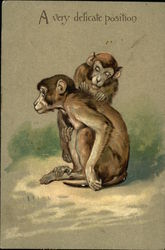 Two monkeys checking each other Postcard