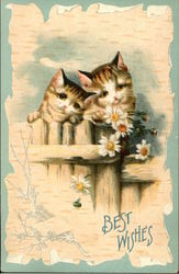 Best Wishes - Two Cats and Daisies Postcard