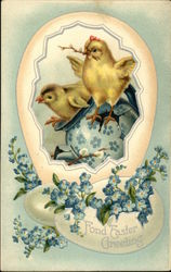 Fond Easter Greeting - Chicks and Forget-Me-Nots With Chicks Postcard Postcard