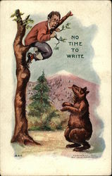 No Time to Write - Bear Chased Man up a Tree Bears Postcard Postcard