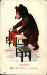 Tuesday: This Little Bear Irons Clothes Days of the Week Postcard Postcard