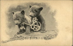 The Irrational Know - Bear Cubs Tied Together with Knot Bears Postcard Postcard