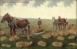 Farmers Bringing In Potatoes From Field Farming Postcard Postcard