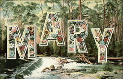 Mary Postcard