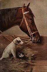 Chestnut Horse, Dog, and Cat Hiding in the Hay Postcard