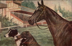 Kings of the Turf - One horse and two dogs Postcard