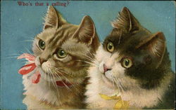 Who's That a Calling? - Two Cats Looking Toward Noise Postcard Postcard