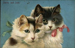 Two Cats with Ribbons Postcard