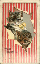 Cats Looking through Torn Paper Postcard