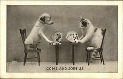 Cat and Dog Playing Cards at Table Postcard