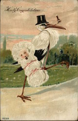 Stork Delivering Girl Baby Postcard