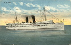 S.S. Yale Steamers Postcard Postcard