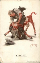 Breakfast Time - Calf Being Made to Drink from Bucket Farming Postcard Postcard