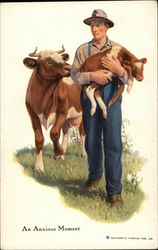 "An Anxious Moment" - Farmer carrying Newborn Calf as Cow Follows Cows & Cattle Postcard Postcard