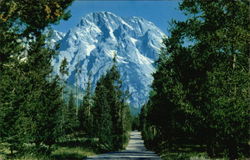 Mt. Moran Wyoming Grand Teton National Park Postcard Postcard