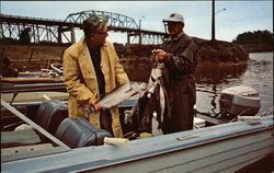 Rockfish Catch at Santee-Cooper Postcard