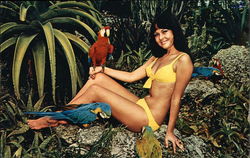 Parrot Jungle Miami, FL Swimsuits & Pinup Postcard Postcard