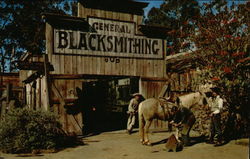 Knott's Berry Farm Postcard