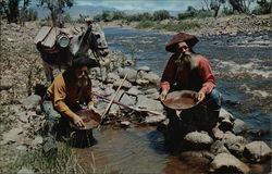 Panning Gold Postcard