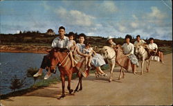 Horse Riding, a Unique Means of Transportation in Kinmen Postcard