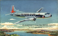 Eastern Silver Falcon Postcard