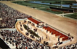 Stadium Type Paddock and Walking Ring at Garden State Park, New Jersey's Pioneer Track Delaware Township, NJ Postcard Postcard