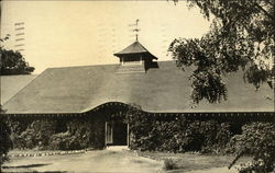 Brandeis University Library - Main Entrance Postcard